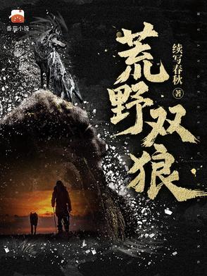 荒野双狼第三部
