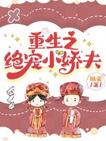 重生之绝宠小娇夫TXT奇书网