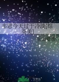 韦恩小姐综英美