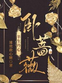 半生丹心卧蔷薇全文阅读最新章节更