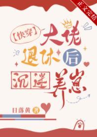 大佬退休之后天籁网